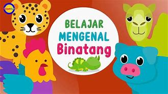 Suara Binatang Lucu