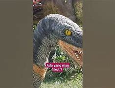 T Rex T Rex Itu Namanya